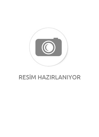 Domates Salçası